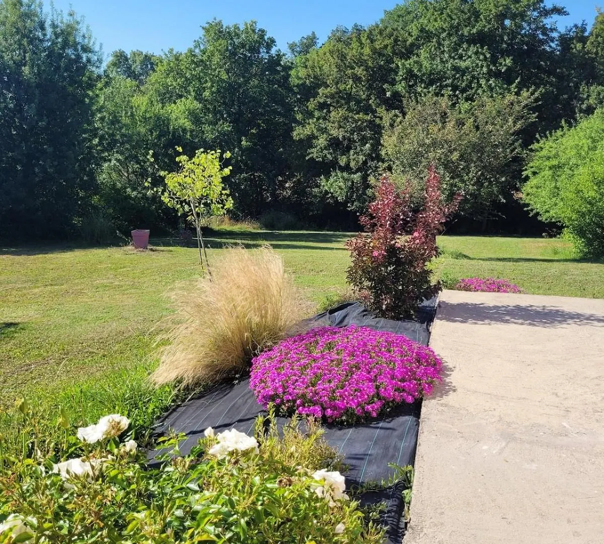 L'Oliviers Country House Cadeilhan 0*,